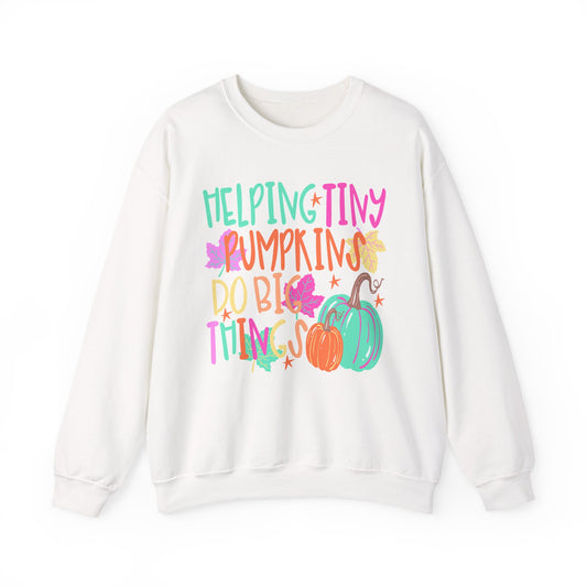 Helping Tiny Pumpkins Do Big Things Sweatshirt